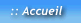 page d'accueil du site